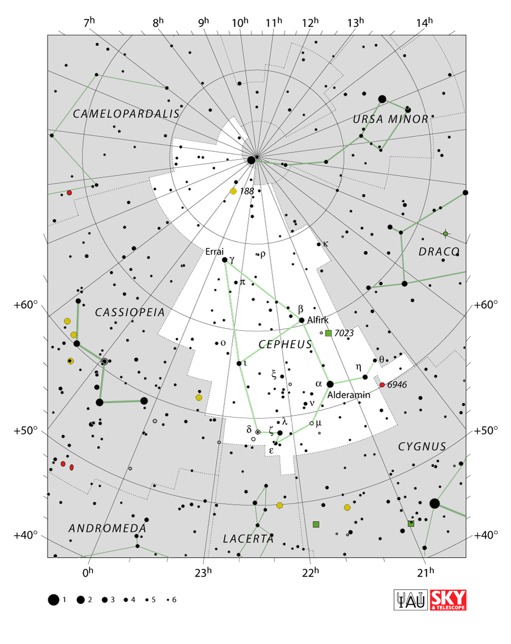 Cepheus