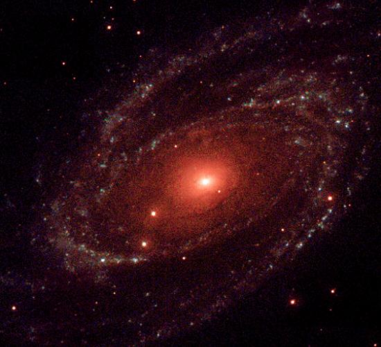 M81